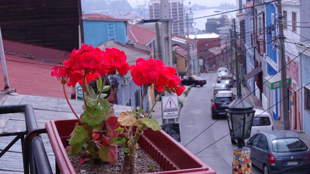 Hostal Destino Bellavista Valparaíso Eksteriør bilde